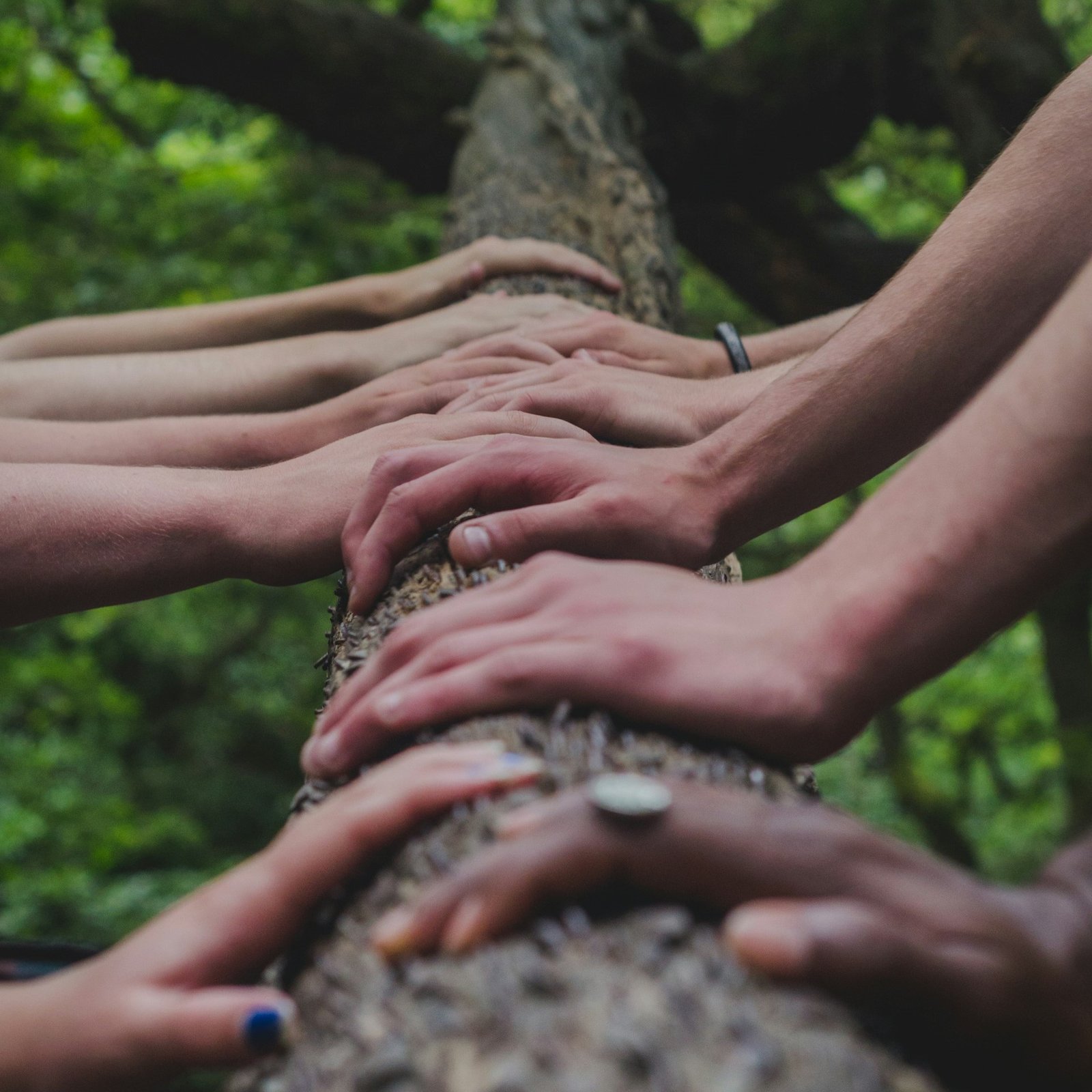 Peer Support & Forums